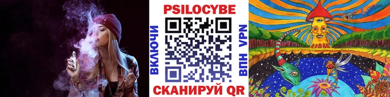 Галлюциногенные грибы Psilocybine cubensis Шарья