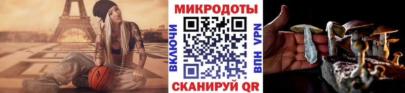 OMG онион shop состав Галлюциногенные грибы мухоморы Шарья