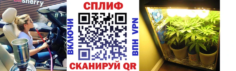 Марихуана сатива  Шарья 